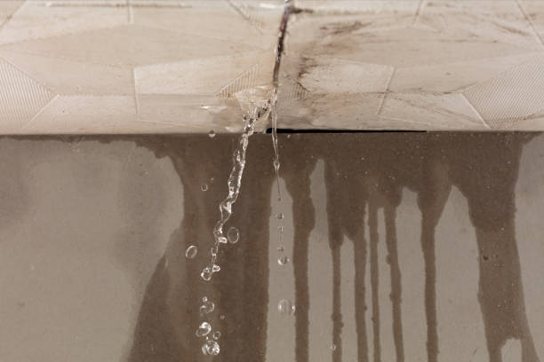 Professional Commercial Water Damage Restoration technician working in Ashland City, TN